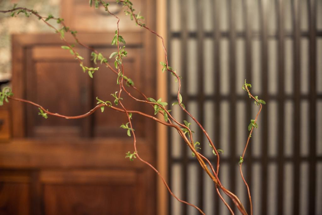 Araiya Tokyo -Private Townhouse- Villa Екстериор снимка